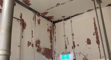 Water Damage Repair